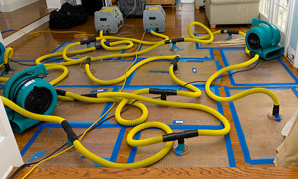 Professional Water Damage Repair technician working in La Porte, IN